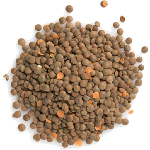 Baladi Red Lentil Whole