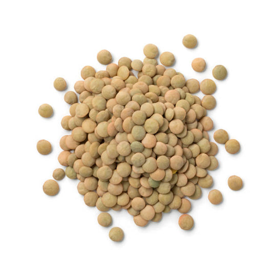 Green Lentils